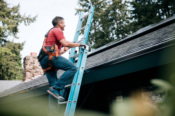 Best Emergency Roof Repair Services  in Cobb Island, MD