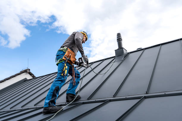 Best Solar Panel Roofing Installation  in Cobb Island, MD